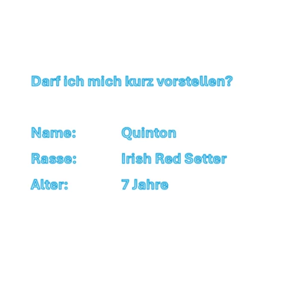 Bannerbild