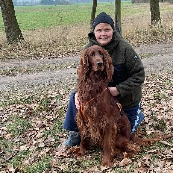Bannerbild