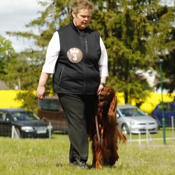 Bannerbild