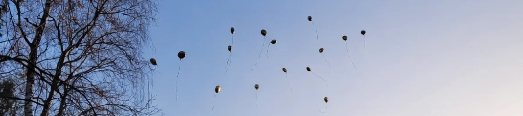 Bannerbild