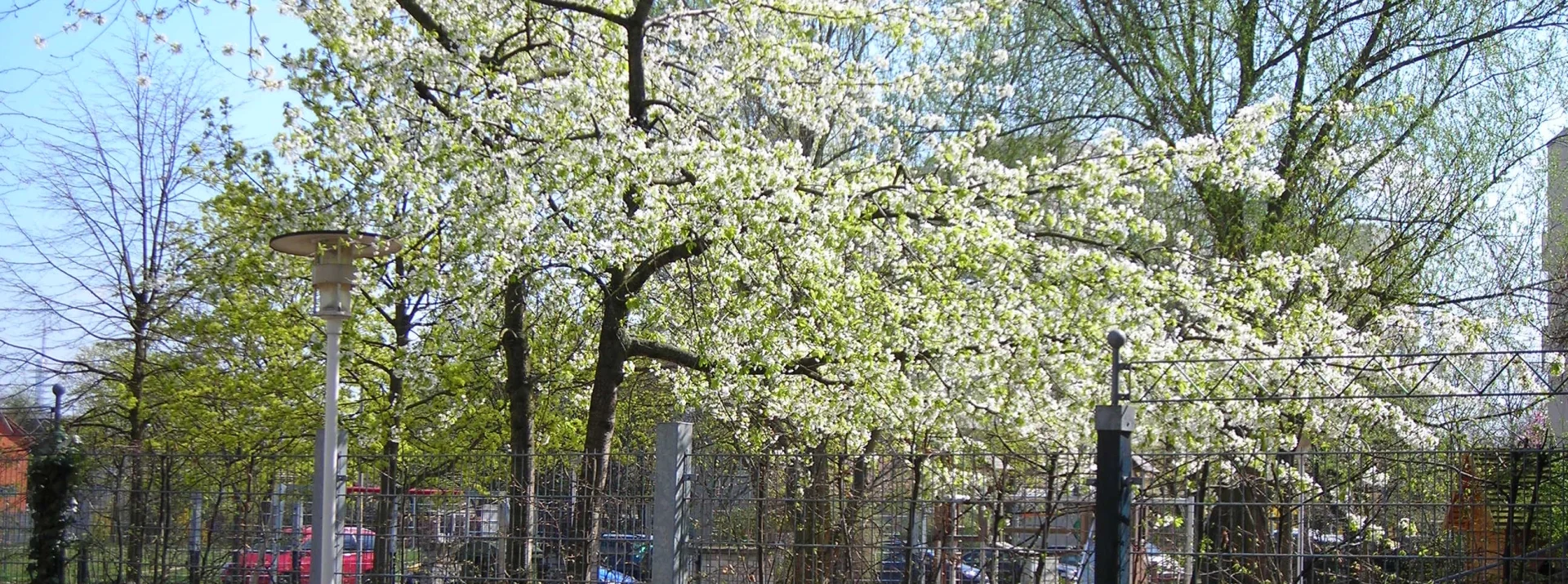 Plauener Straße