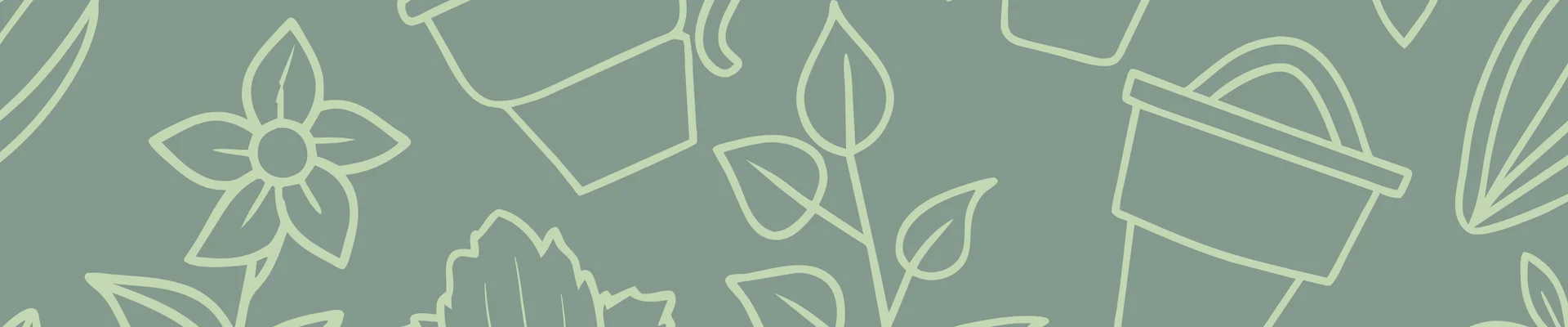 Bannerbild