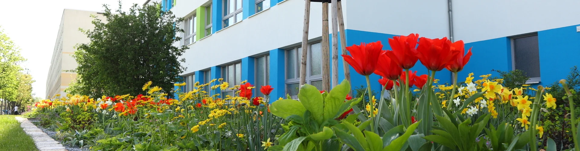Bannerbild