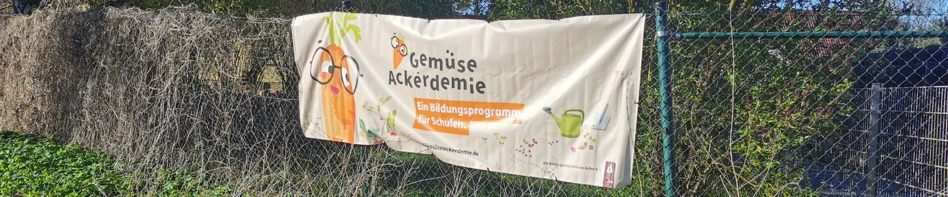 Bannerbild