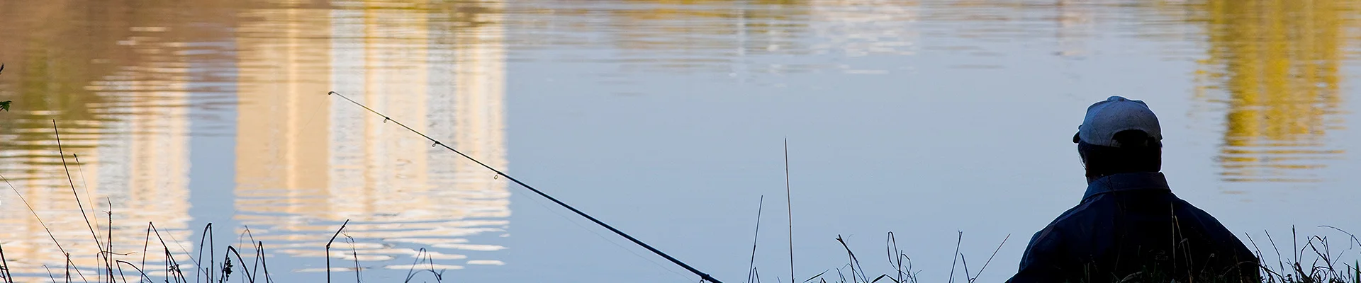 Bannerbild
