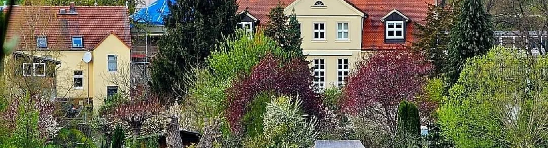 Bannerbild | zur Startseite