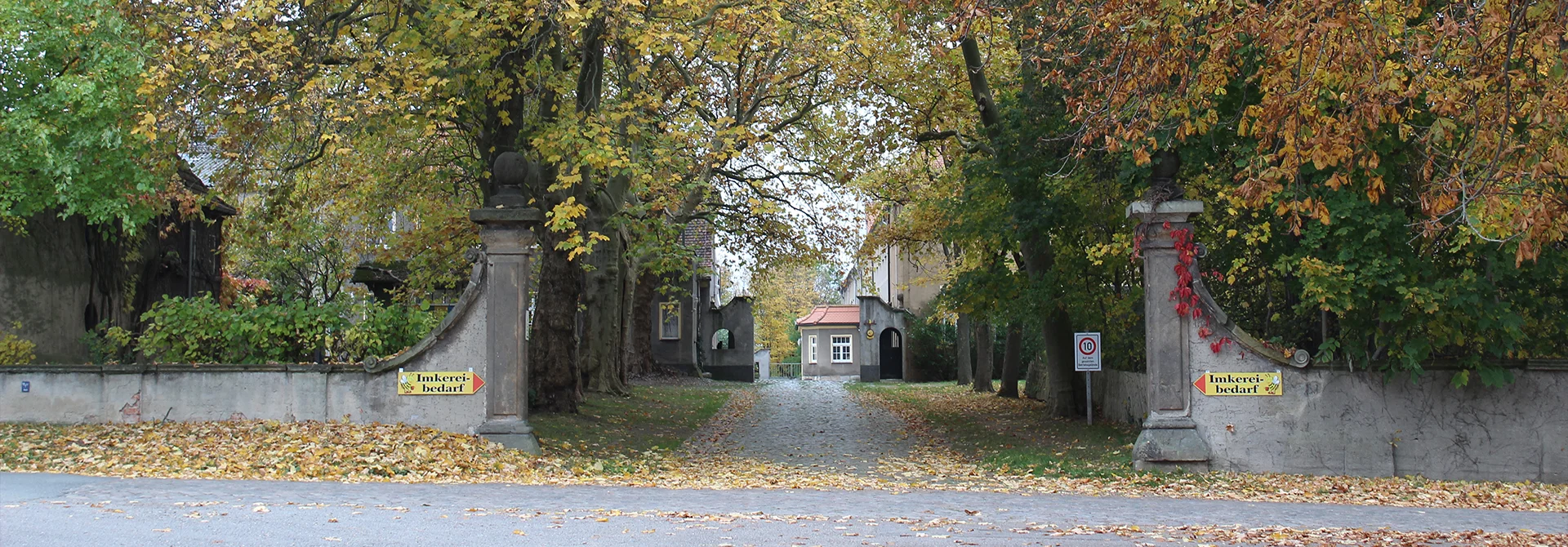Bannerbild