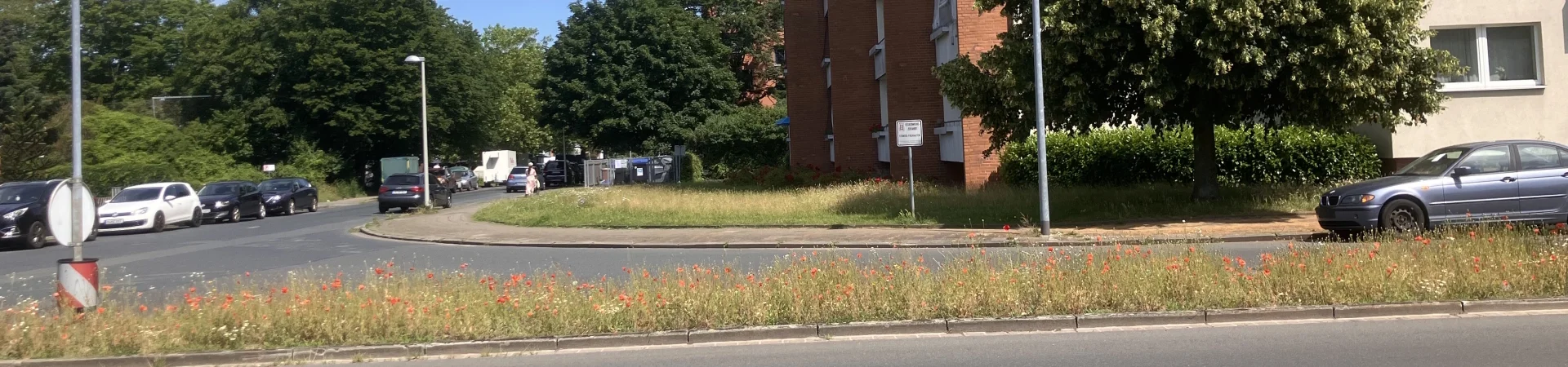 Mohnblüte Dunantstraße