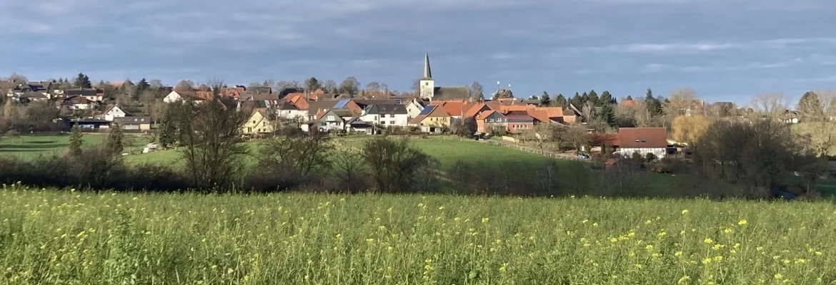 Bannerbild