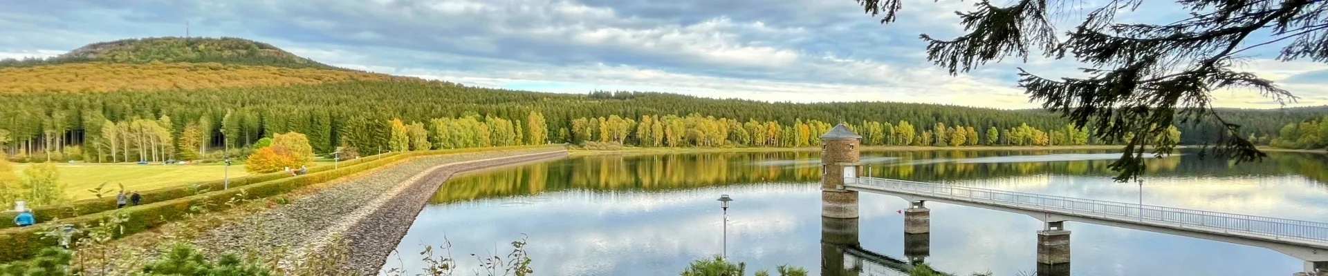 Bannerbild