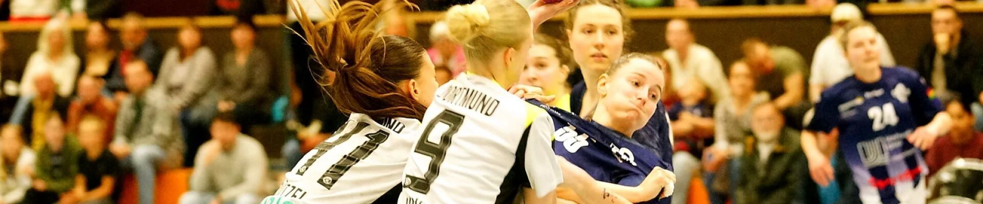 Bannerbild
