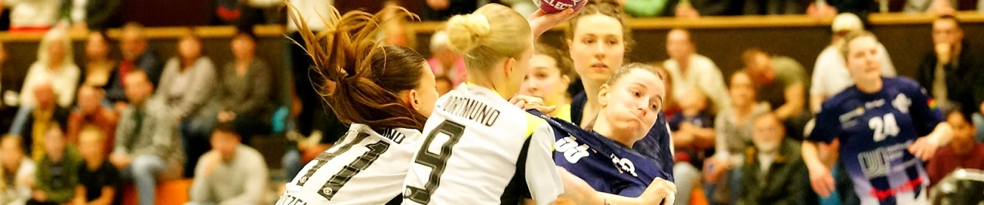 Bannerbild