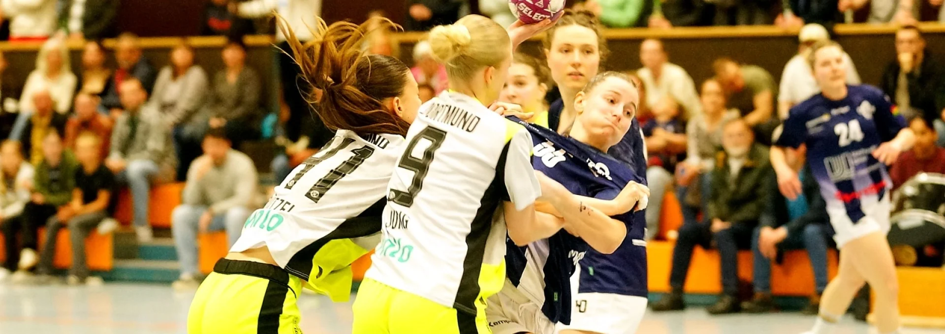 Bannerbild