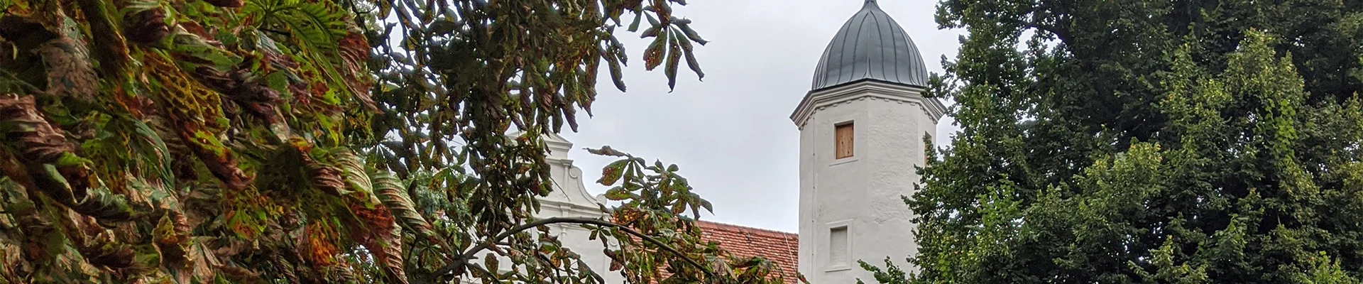 Bannerbild