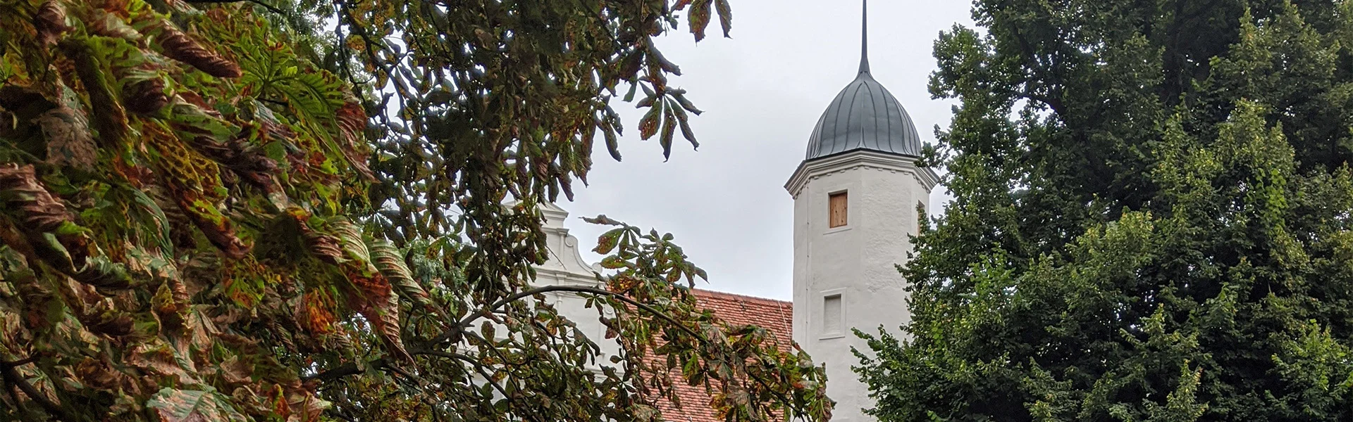 Bannerbild
