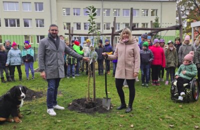 Herr Bagola und Frau Tille pflanzen den gespendeten Baum auf dem Schulhof ein
