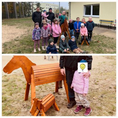 Foto zur Meldung: Wir haben zwei neue Holzpferde spendiert bekommen...