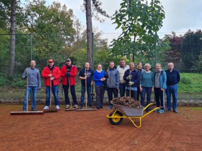 Herbstputz beim TC Albachten: Erfolgreiche Aktion dank vieler Helfer (Bild vergrößern)