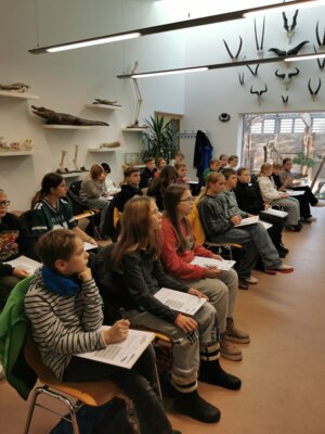 Tiere hautnah! Die Klasse 6a in der Zooschule in Dresden. (Bild vergrößern)