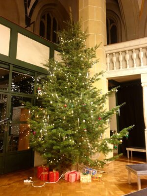 Ein stattlicher Weihnachtsbaum.....