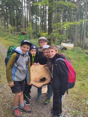 Meldung: Waldtag 3 a und b