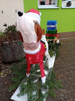 Unser Weihnachtshund hat einen Namen