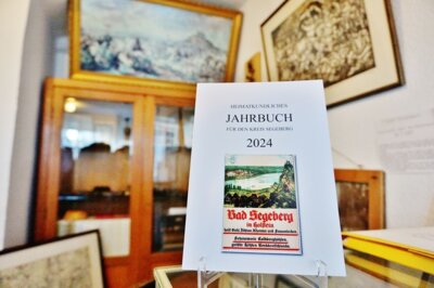 Foto zur Meldung: Heimatverein gibt Buch heraus – Schlacht bei Bornhöved ist Thema