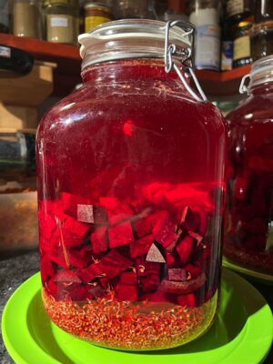 Meldung: Braunhirse-Sprossen-Fermentationssaft