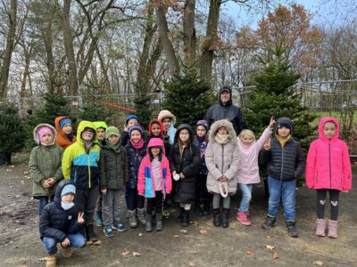 Meldung: Weihnachtsbäume für 2b und 4b