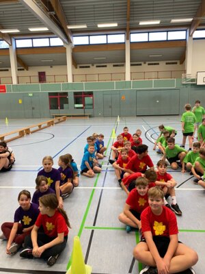 Erfolgreich gekämpft beim Zweifelderballturnier 2024