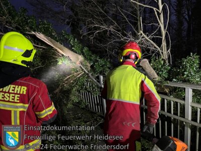 Meldung: Einsatz 115/2024 | 2 Bäume auf Brücke | Dolgenbrodt Wiesenweg