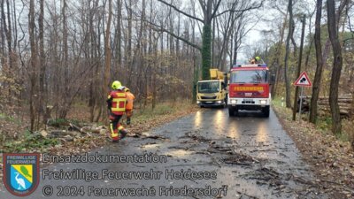 Meldung: Einsatz 110/2024 | Baum auf Straße | Streganz Klein Eichholzer Straße