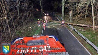 Meldung: Einsatz 108/2024 | 2 Bäume auf Straße | L39 OV Friedersdorf - Blossin