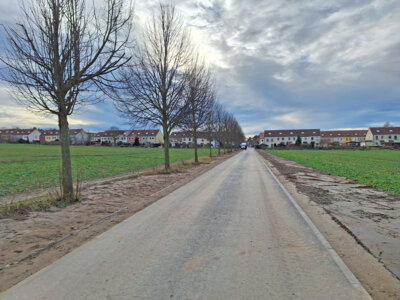 Foto zur Meldung: Neuer Radweg von Rangsdorf bis zur Gemarkungsgrenze Dahlewitz