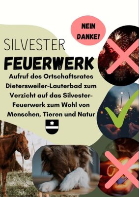 Silvester Feuerwerk - Aufruf (Bild vergrößern)