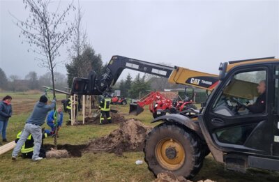 Baumpflanzaktion am Sportplatz (Bild vergrößern)