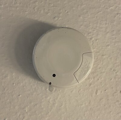 Heimrauchmelder retten Leben (Bild vergrößern)
