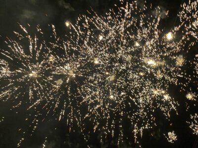 Neujahrswünsche (Bild vergrößern)