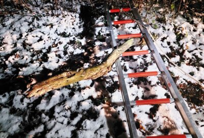 Foto zur Meldung: Feuerwehr bewältigt lächerlichen Einsatz mit Kreativtät