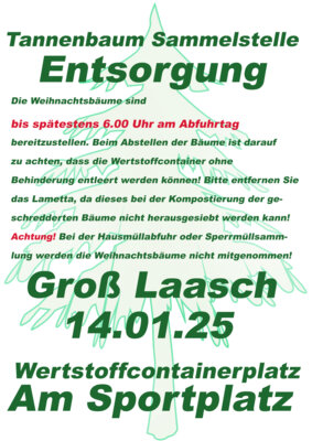 Gross Laasch - 14.01.2025 Tannenbaum-Entsorgung