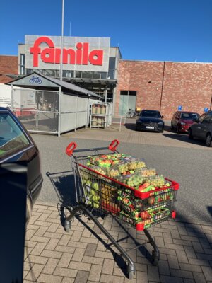 Ein Einkaufswagen voller Obst (Bild vergrößern)