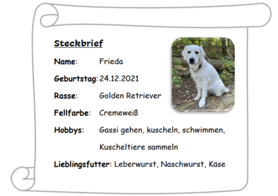 Foto zur Meldung: Schulhund Frieda