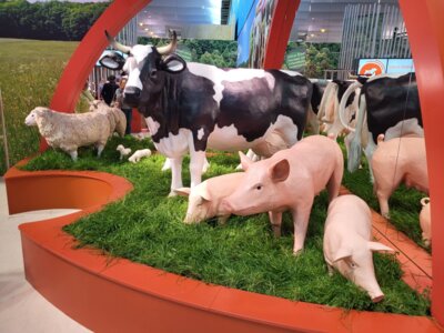 Meldung: Landwirte auf der Grünen Woche