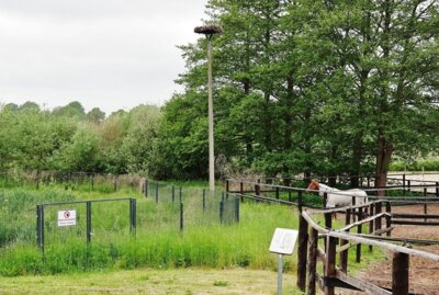 Das Regenrückhaltebecken m Mai 2023