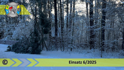 Meldung: Einsatz 6/2025 | Baum auf Straße | Bindow Südkorso