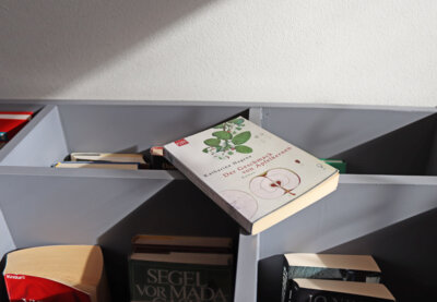Foto zur Meldung: Bücherbox im Rathaus erneuert