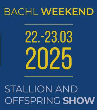 Foto zur Meldung: BACHL WEEKEND 2025 – Freispring- und Freilaufcup mit einer Dotation von 10.000€ sowie Hengstschau