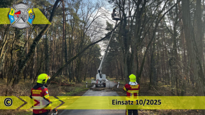 Meldung: Einsatz 10/2025 | Baum droht zu stürzen | OV Dolgenbrodt - Bindow