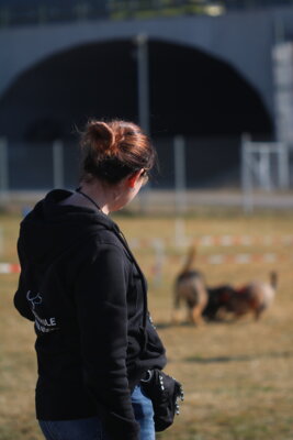 Zusammenarbeit mit Hundetrainerin