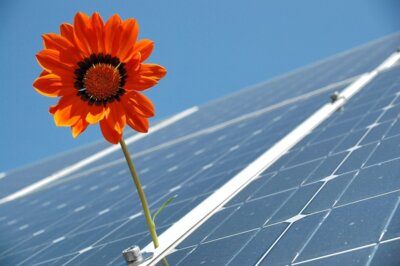 Photovoltaik im Garten (Bild vergr&ouml;&szlig;ern)